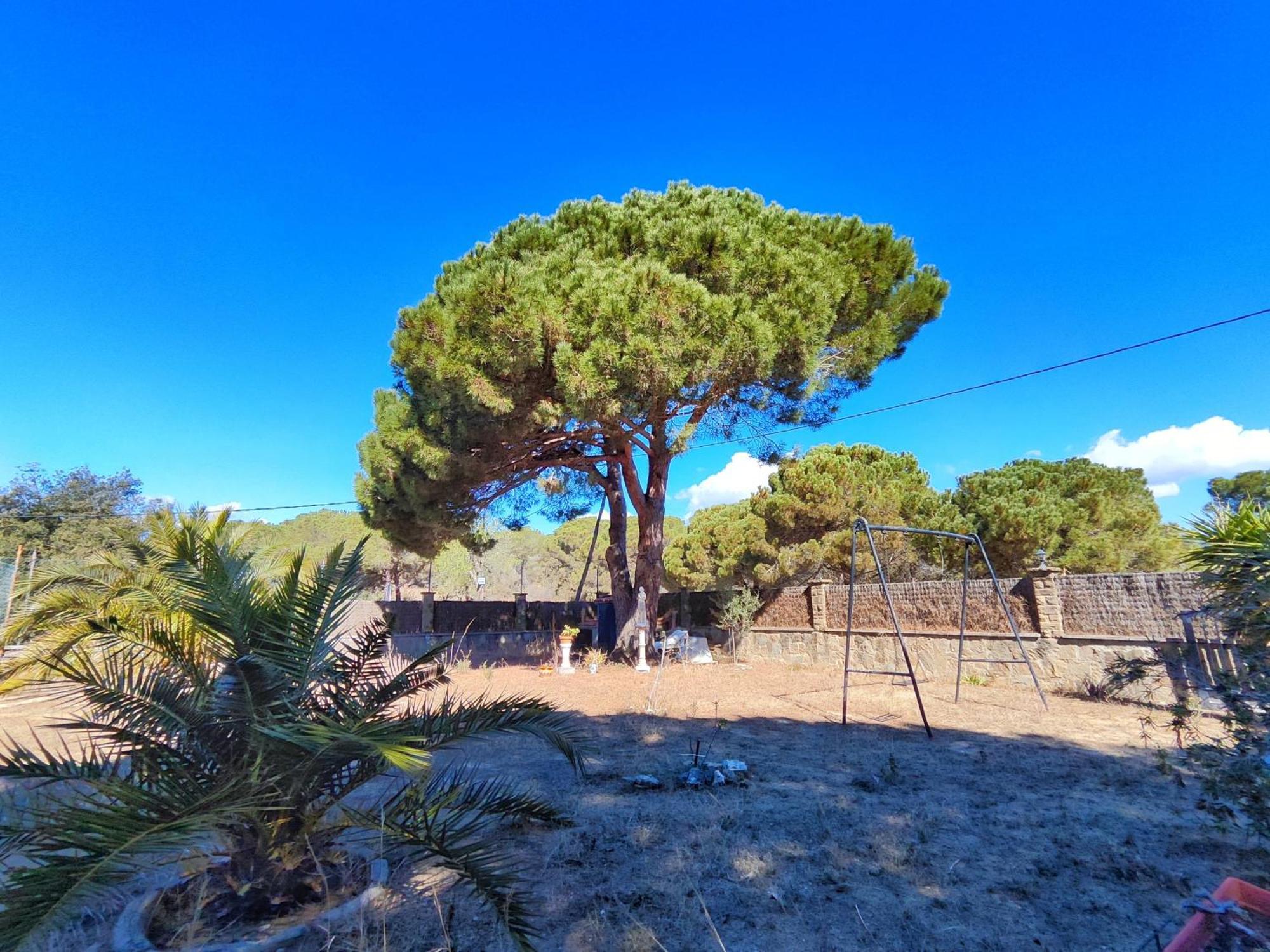 Casa Con Piscina Privada En Sant Pol De Mar Villa ภายนอก รูปภาพ